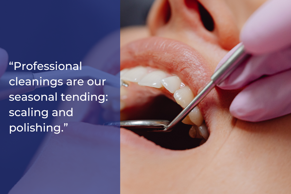 A dental professional uses instruments to examine and clean a patient's teeth; text discusses the importance of scaling and polishing during professional cleanings to help prevent tooth decay and gum disease.